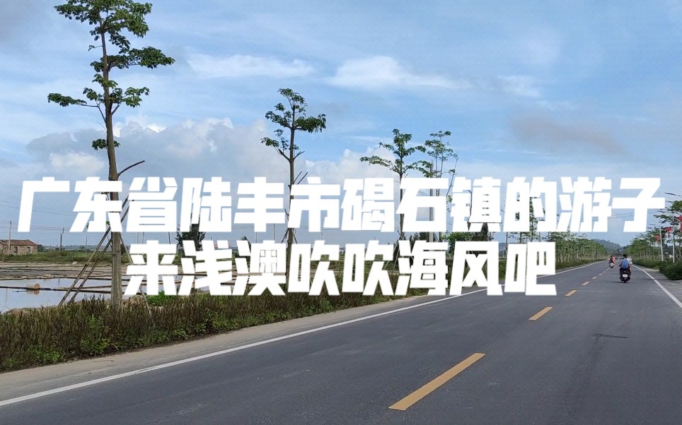 广东省陆丰市碣石镇在外的游子回来浅澳吹吹海风