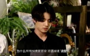 田柾国 我的诞生花是老虎花花语是 请爱我吧please Love Me 哔哩哔哩 つロ干杯 Bilibili