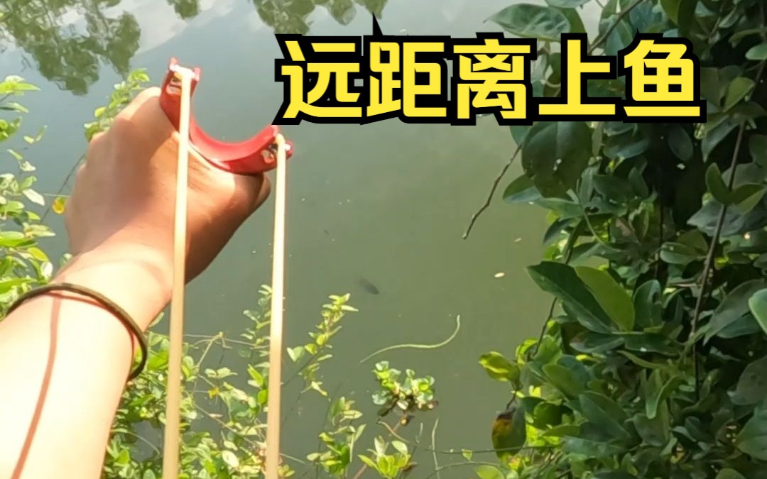 【袁桑弹弓】你玩过弹弓射鱼吗轻轻松松就把鱼抓上来了