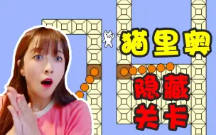 Download Video: 几乎没人见过的猫里奥隐藏关卡，还是熟悉的味道！