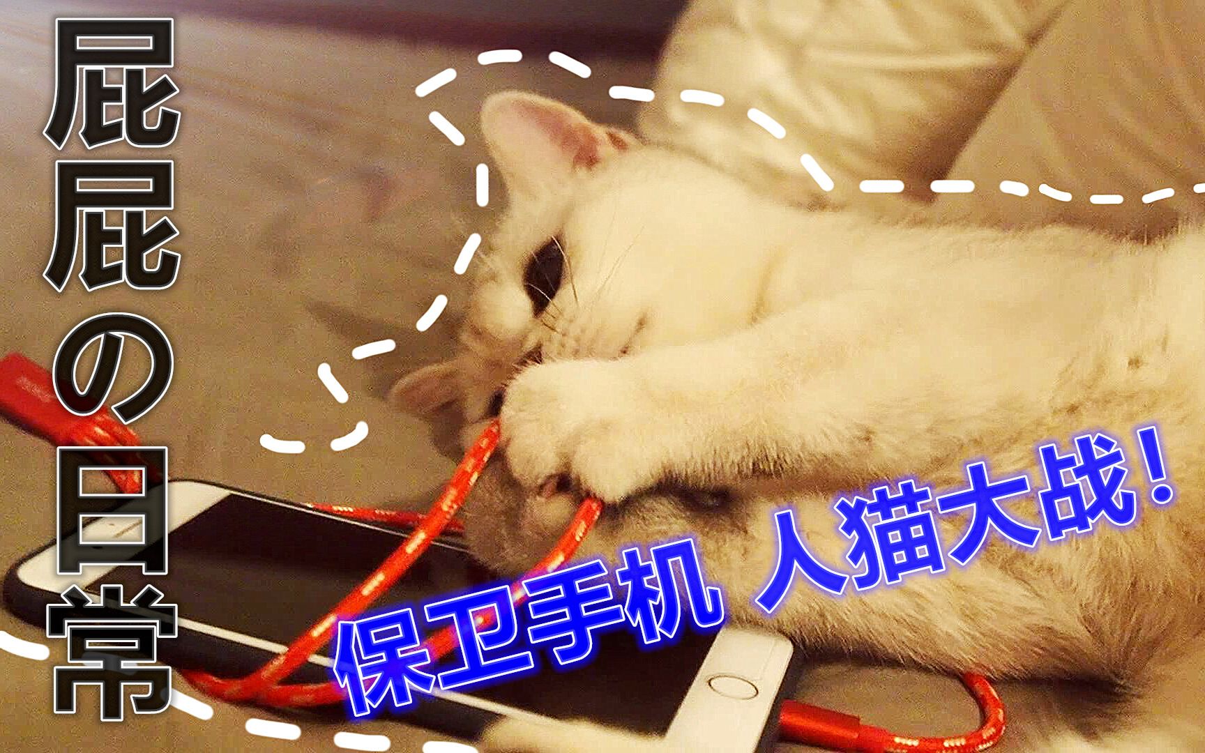 【日天君】屁屁の日常(二)《保卫手机!人猫大战!》哔哩哔哩bilibili