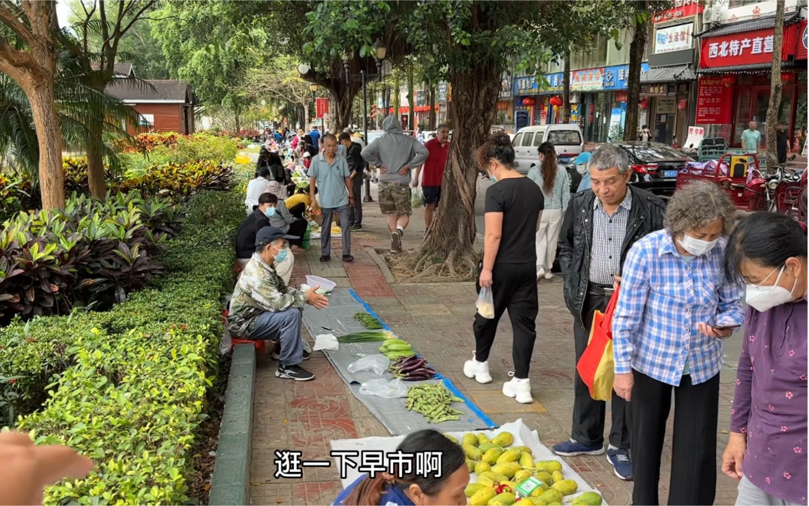 逛一下五指山的早市,这里住了很多东北人,好热闹呀哔哩哔哩bilibili