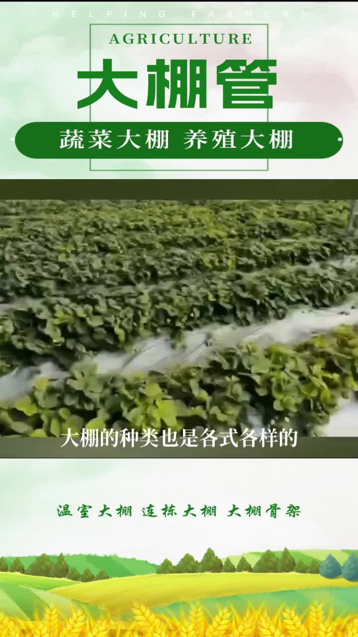 镀锌大棚管厂家,镀锌大棚管价格,镀锌大棚管生产工艺哔哩哔哩bilibili