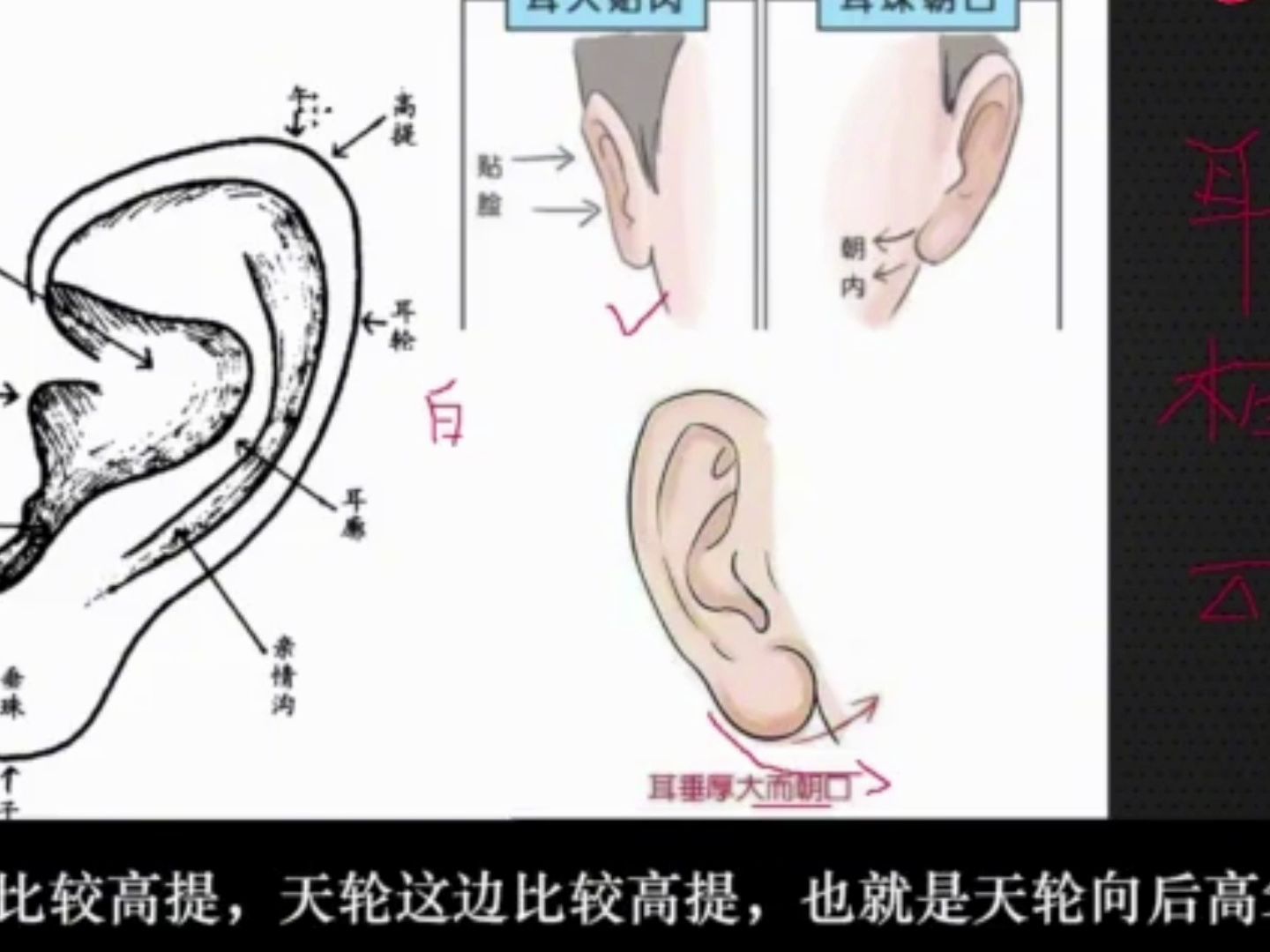 面相耳相特征“耳垂厚大而朝口”!ⷥ“”哩哔哩bilibili