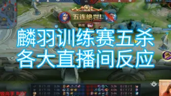 【训练赛】AG公开训练赛麟羽橘右京五杀各大直播间反应