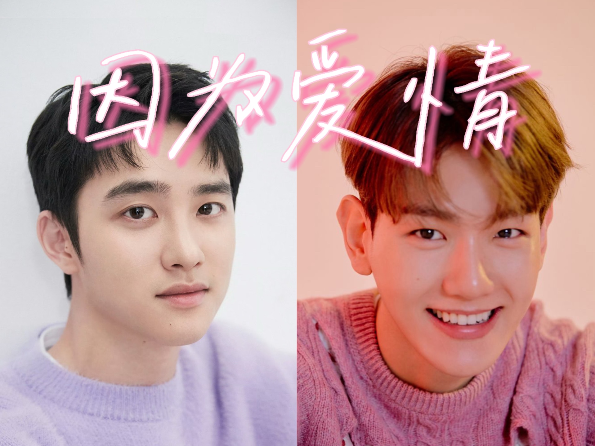 【ai cover】都暻秀 边伯贤|因为爱情(原唱:陈奕迅 王菲)