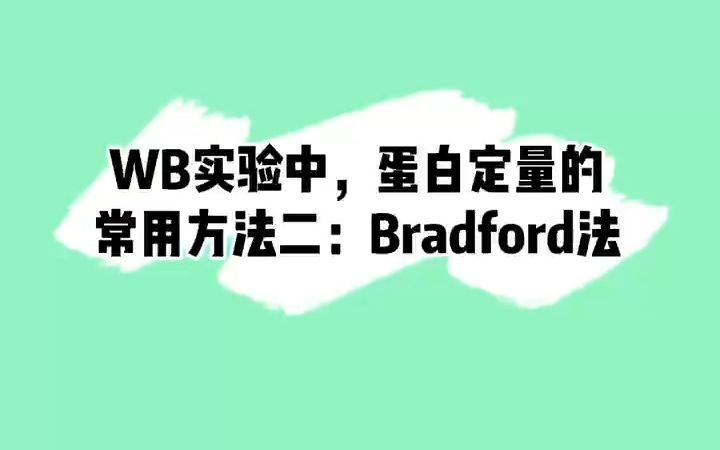 分享:WB实验中,蛋白定量的常用方法2:Bradford法的原理及特点,视频最后的注意点记得看#WB#蛋白定量#蛋白测定哔哩哔哩bilibili