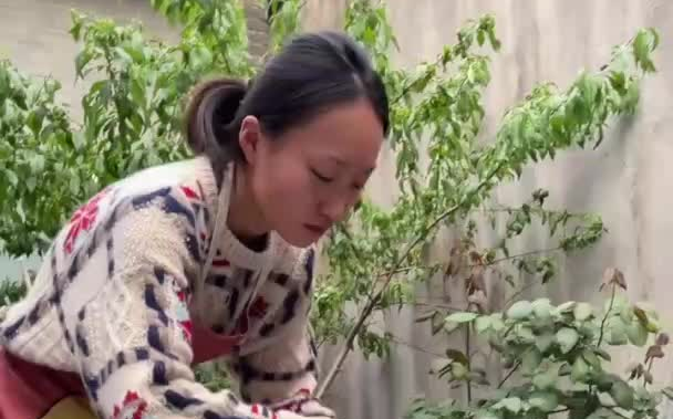 [图]是我爱的太傻太认真