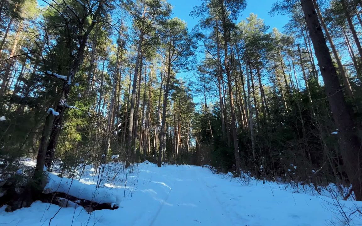 k3096 4k画质唯美宁静蓝天白云穿行大森林冬天冬季白雪皑皑冰天雪地