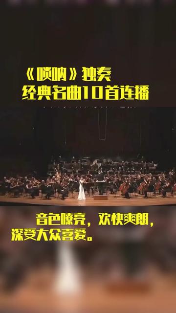 唢呐独奏经典名曲10首连播,音色嘹亮,欢快爽朗,深受大众喜爱哔哩哔哩bilibili