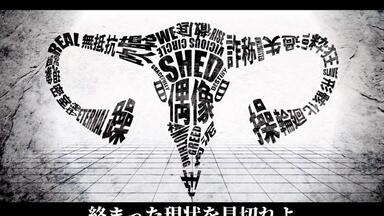 wowaka - seven girls' discord (2010) *Full album*_哔哩哔哩_bilibili