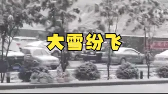 Download Video: 强冷空气南下！黑龙江小兴安岭迎来下半年首场大雪