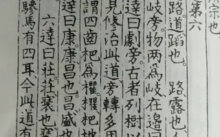 释名 搜索结果 哔哩哔哩 Bilibili