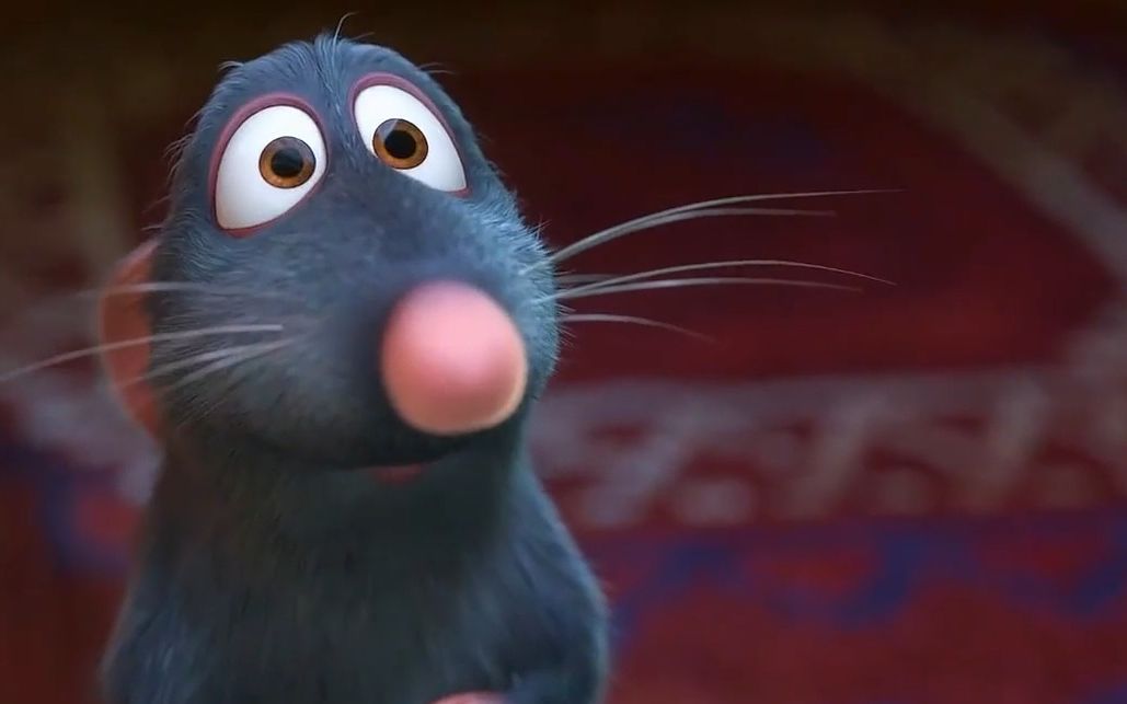 这只老鼠成精了,它竟然给人类做饭吃!