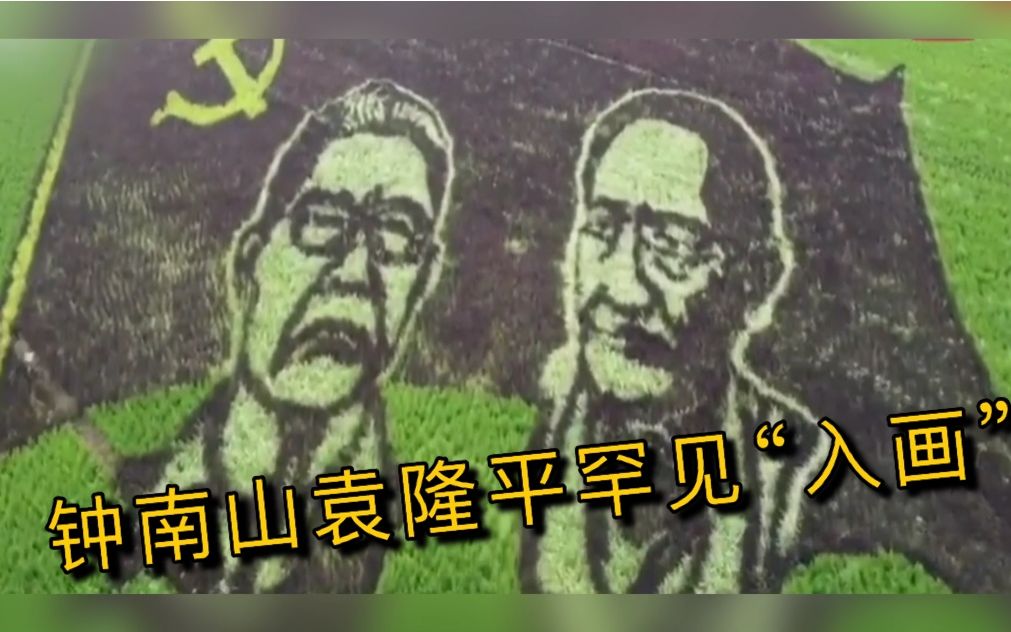 [图]农民种出袁隆平钟南山稻田画 网友：致敬医食无忧组合