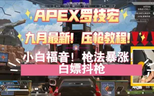 Download Video: 9月最新！APEX】GHUB罗技宏教程！无压力压枪！枪法暴涨！