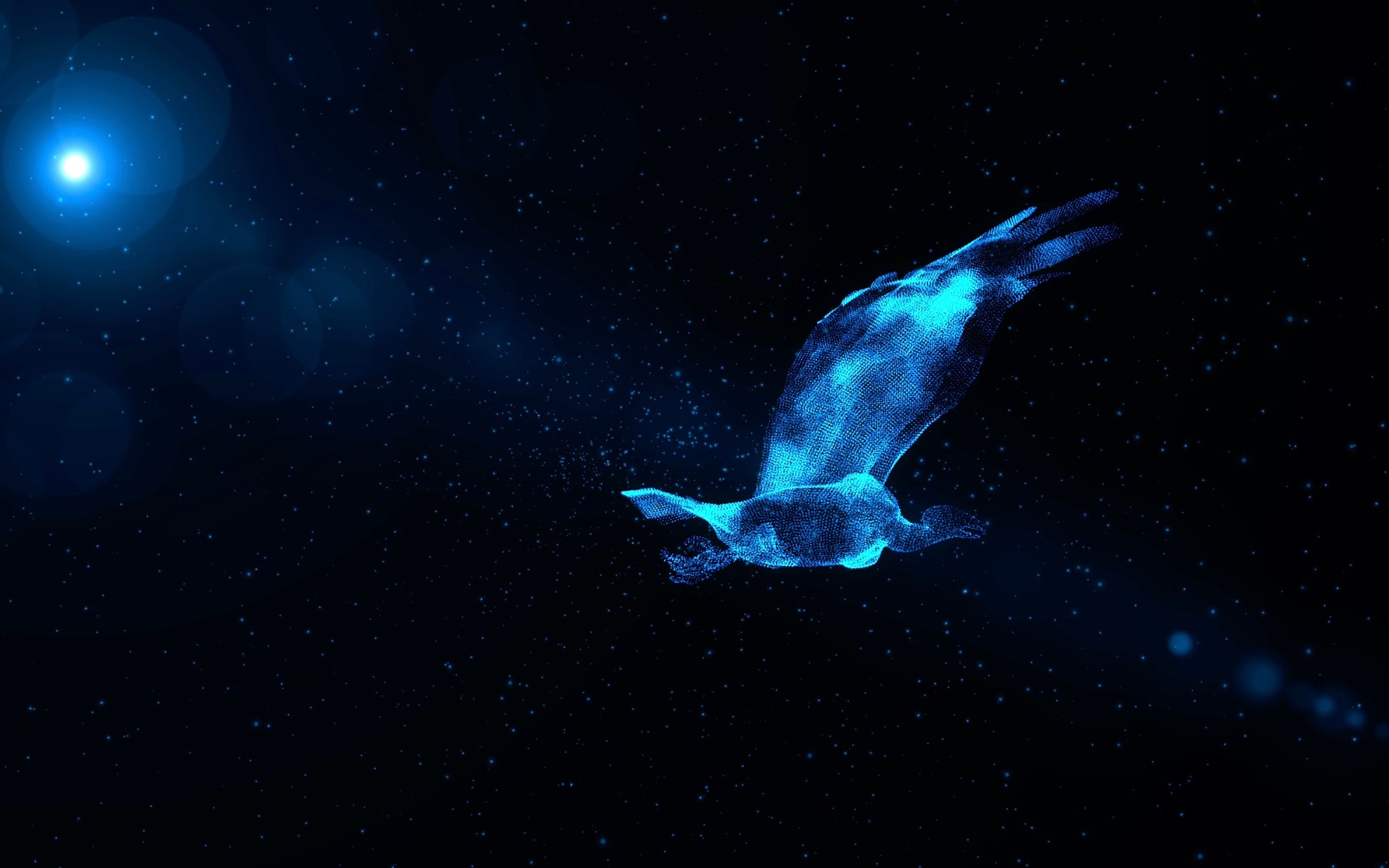 萤鸟夜间发光图片图片