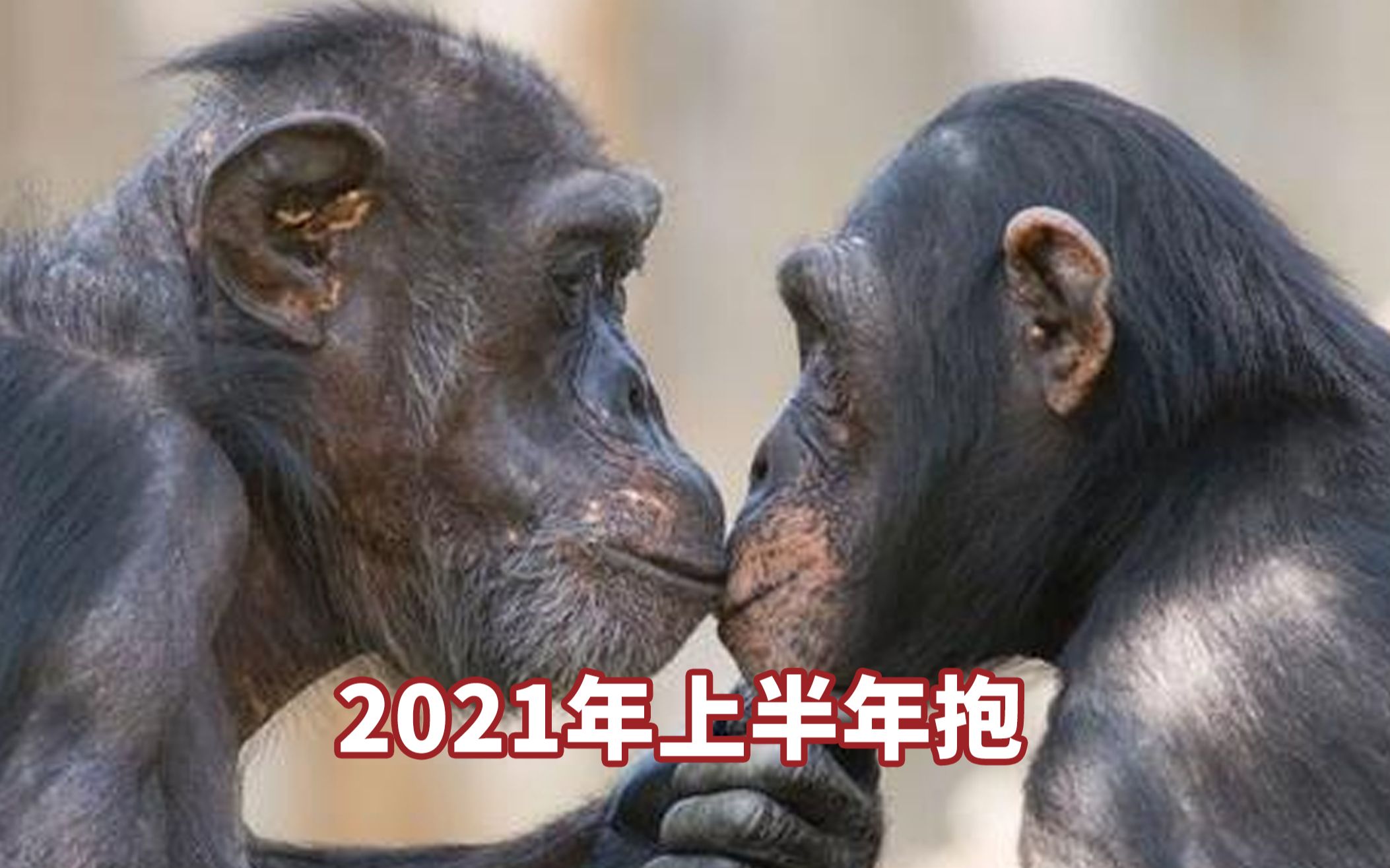 【安提半年报】2021年上半年经济局势及行业分析哔哩哔哩bilibili