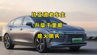 比亚迪老车主可以通过迪加实现千里眼和熄火哨兵！比亚迪不给的，车主自己弄！