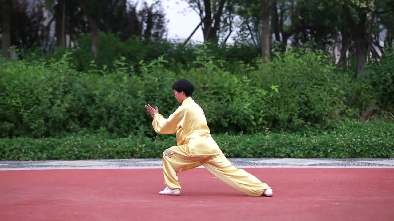 养生太极掌 第二套 Yangsheng Taichi Palm II by Master Zhao哔哩哔哩bilibili