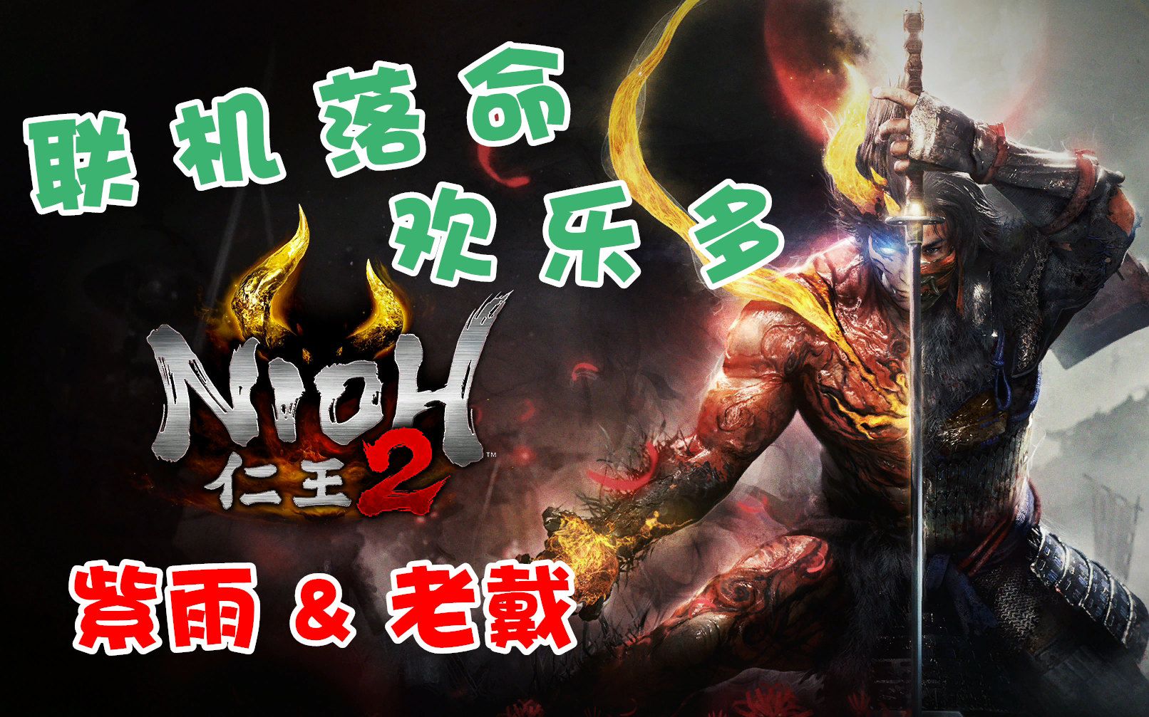 紫雨老戴仁王2联机落命欢乐多