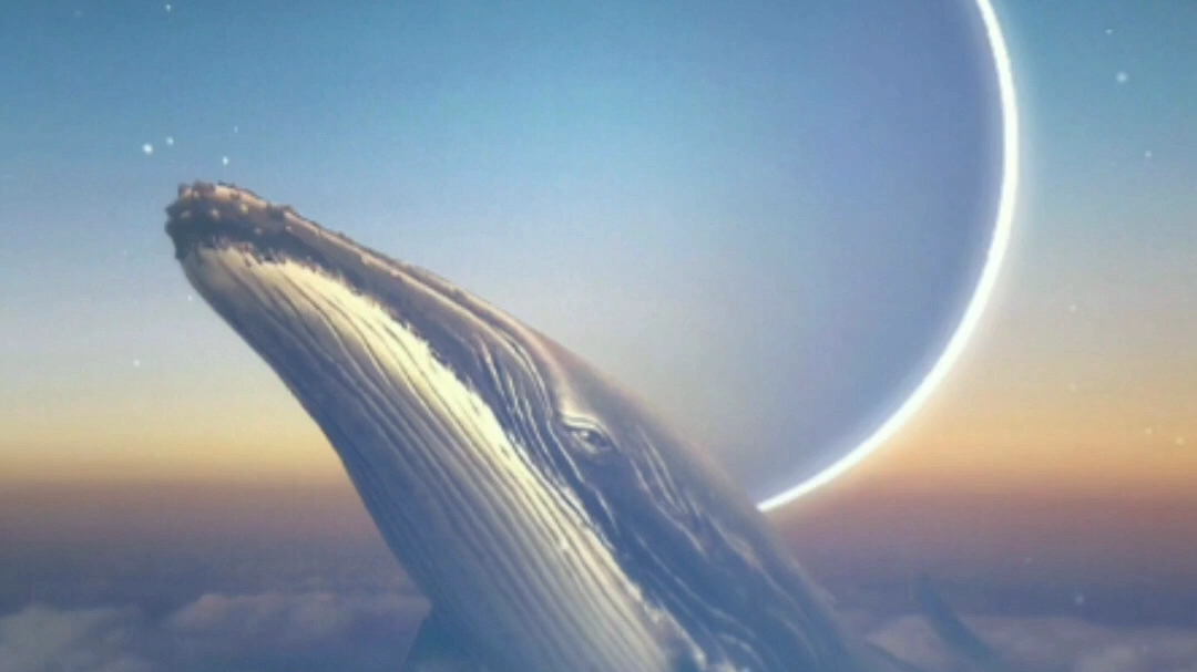 北冥有鱼其名为鲲