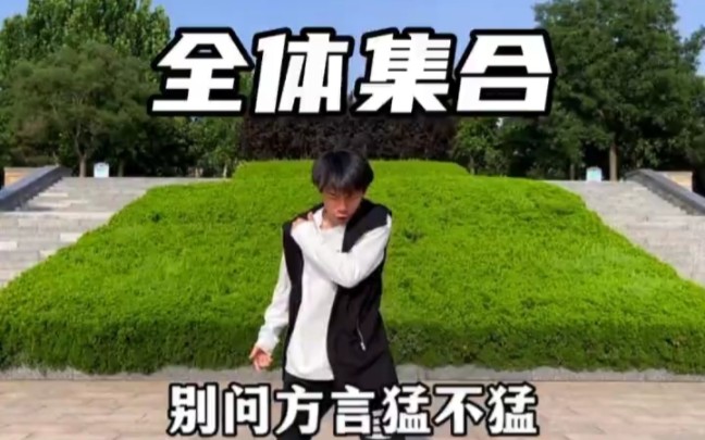 全网呼叫河北人哔哩哔哩bilibili