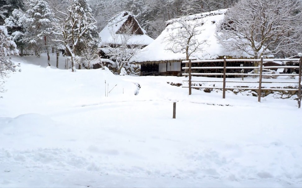 [图][4K 降雪] 高山白雪-除夕雪。