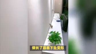 Tải video: 以前很流行，如今却“成为笑柄”的9个网红装修，劝你别再跟风了