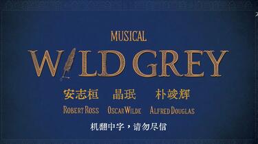 韓国ミュージカル WILD GREY ワイルドグレイOST