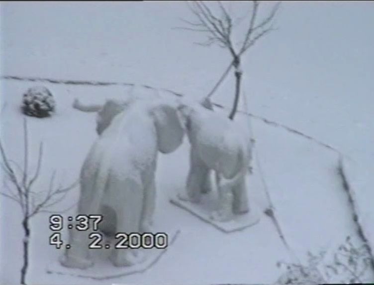 乡愁系列2000年的第一场雪,青岛凯金花园和楼下的佳世客步行街,我妈要给我50块压岁钱,被我讨价还价成5块.哔哩哔哩bilibili