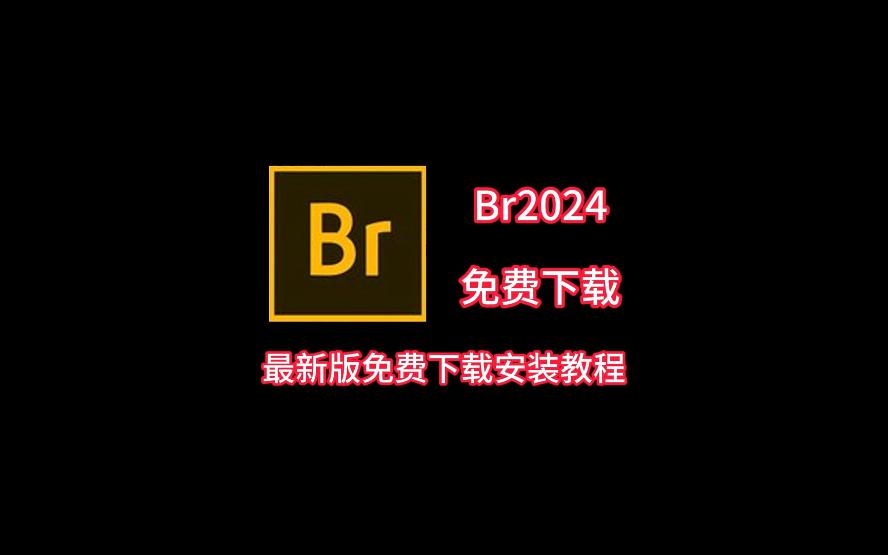 最新版Br免费下载安装教程哔哩哔哩bilibili