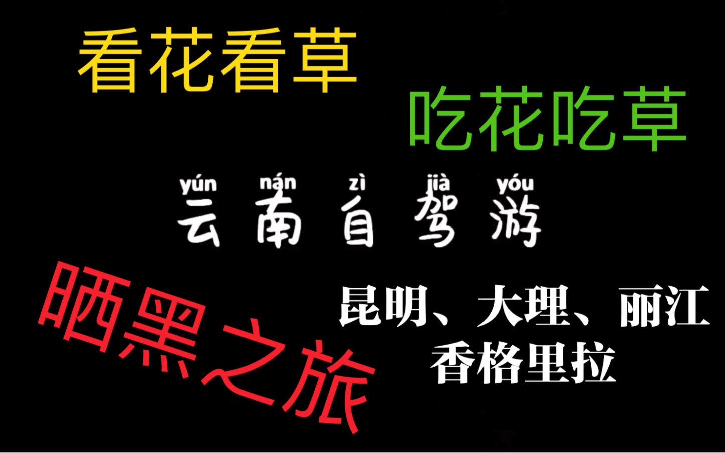 半个月的云南自驾游,昆明,大理,丽江,香格里拉哔哩哔哩bilibili