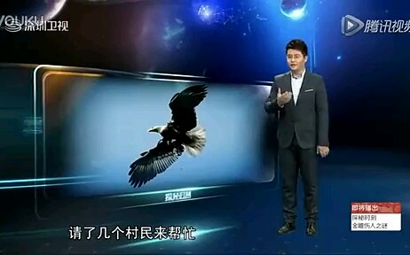 金雕复仇记(金雕袭击人事件)哔哩哔哩bilibili