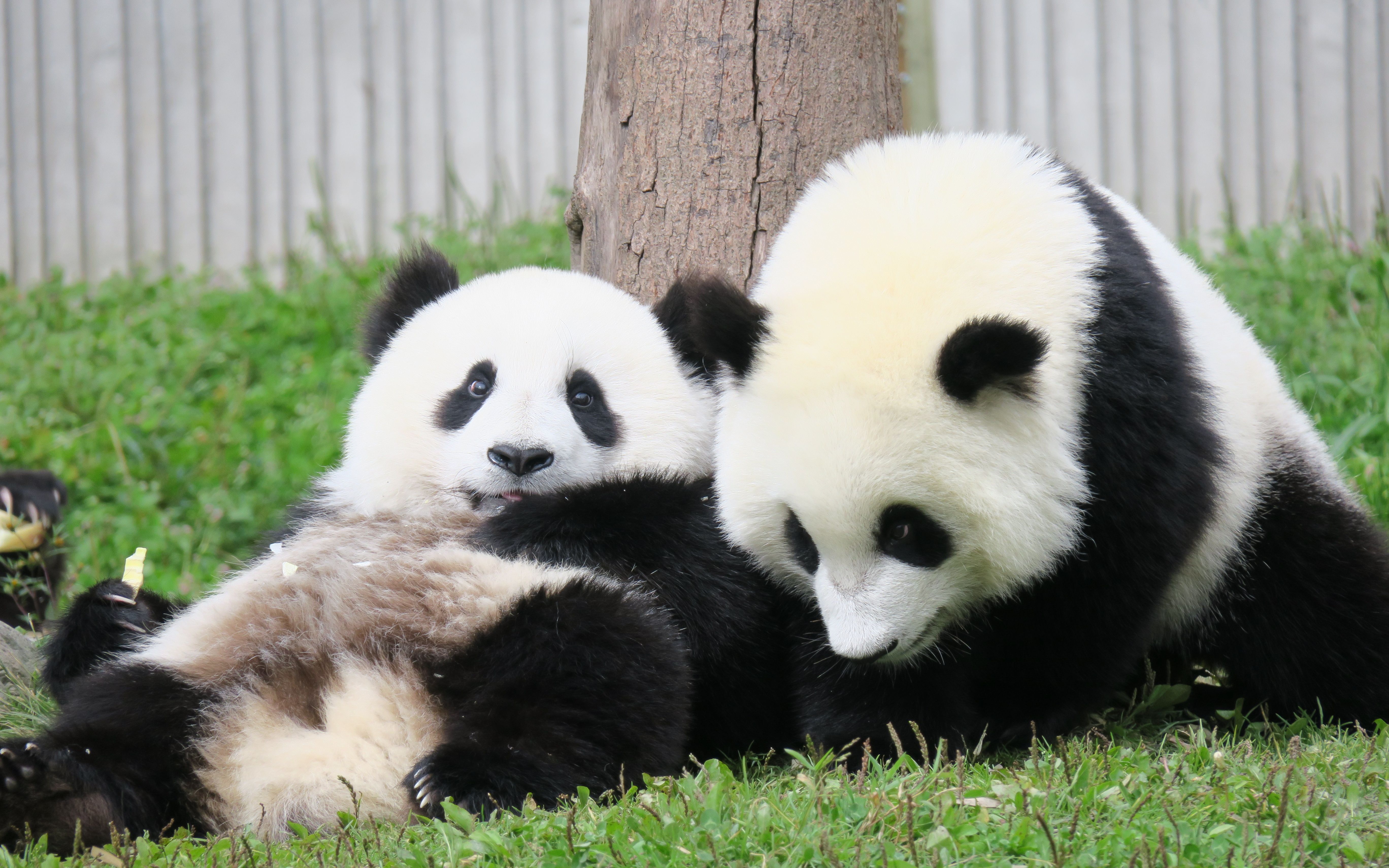 活动  我们的爱,你来我往