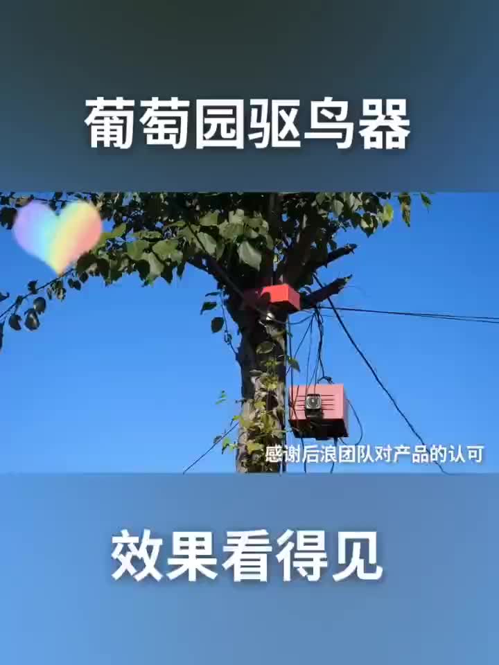 自制驱鸟神器果园专用图片