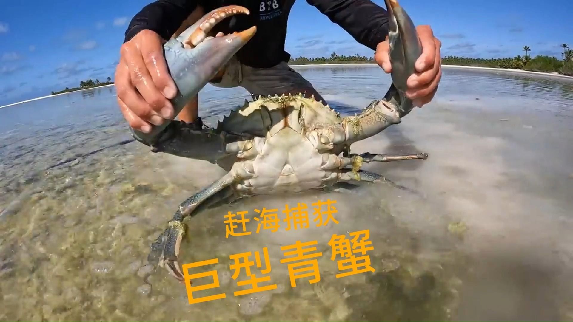 赶海在海滩边捕获巨型大青蟹