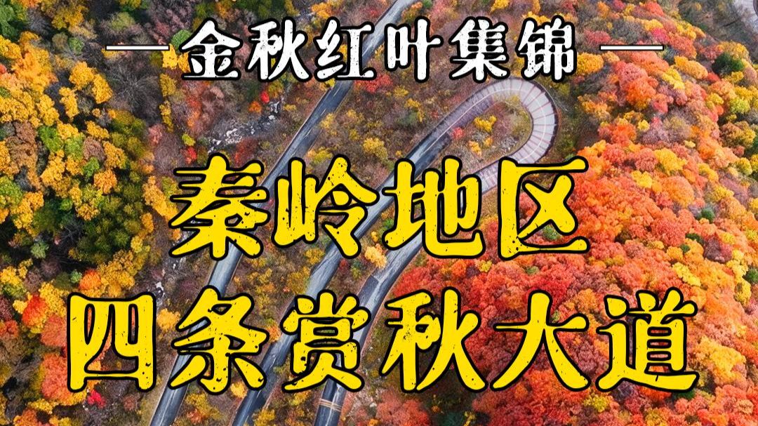 秦岭地区4条赏秋大道