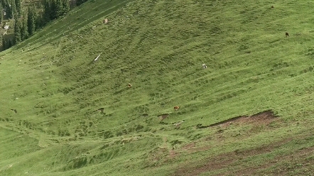 飘渺峰位于南山前山地带,海拔3450米,是南山前山第二高峰,仅次于萨拉达万峰.主峰周围侧峰数座,群峰山势巍峨、气势磅礴,经常云雾缭绕其间,主峰...