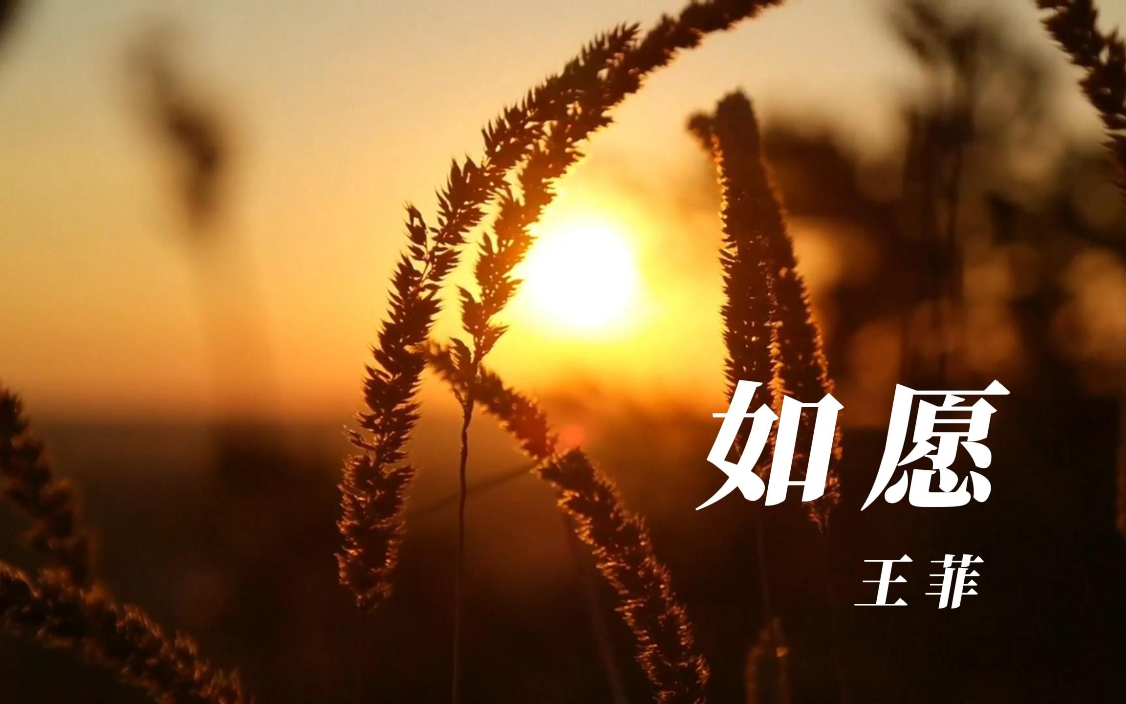 《如愿》—王菲,不负盛世,愿2023,如你所愿.