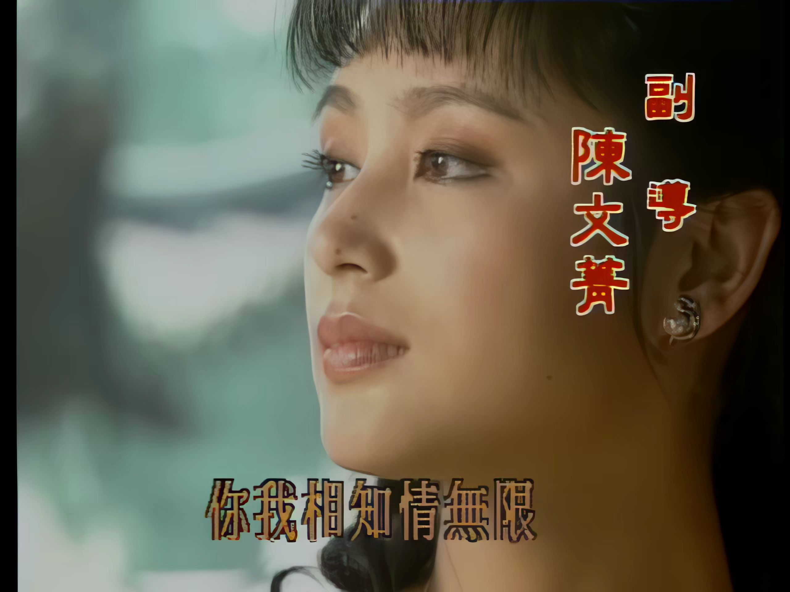 dvd 片尾曲 我心已许 蔡幸娟 主演 马景涛/陈德容/陈红/罗刚/韩振华