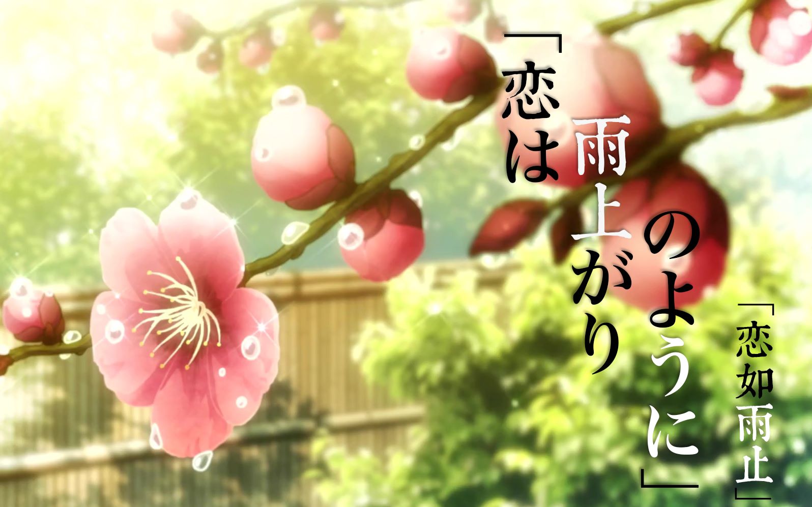 恋如雨止古川本铺夜と虹色