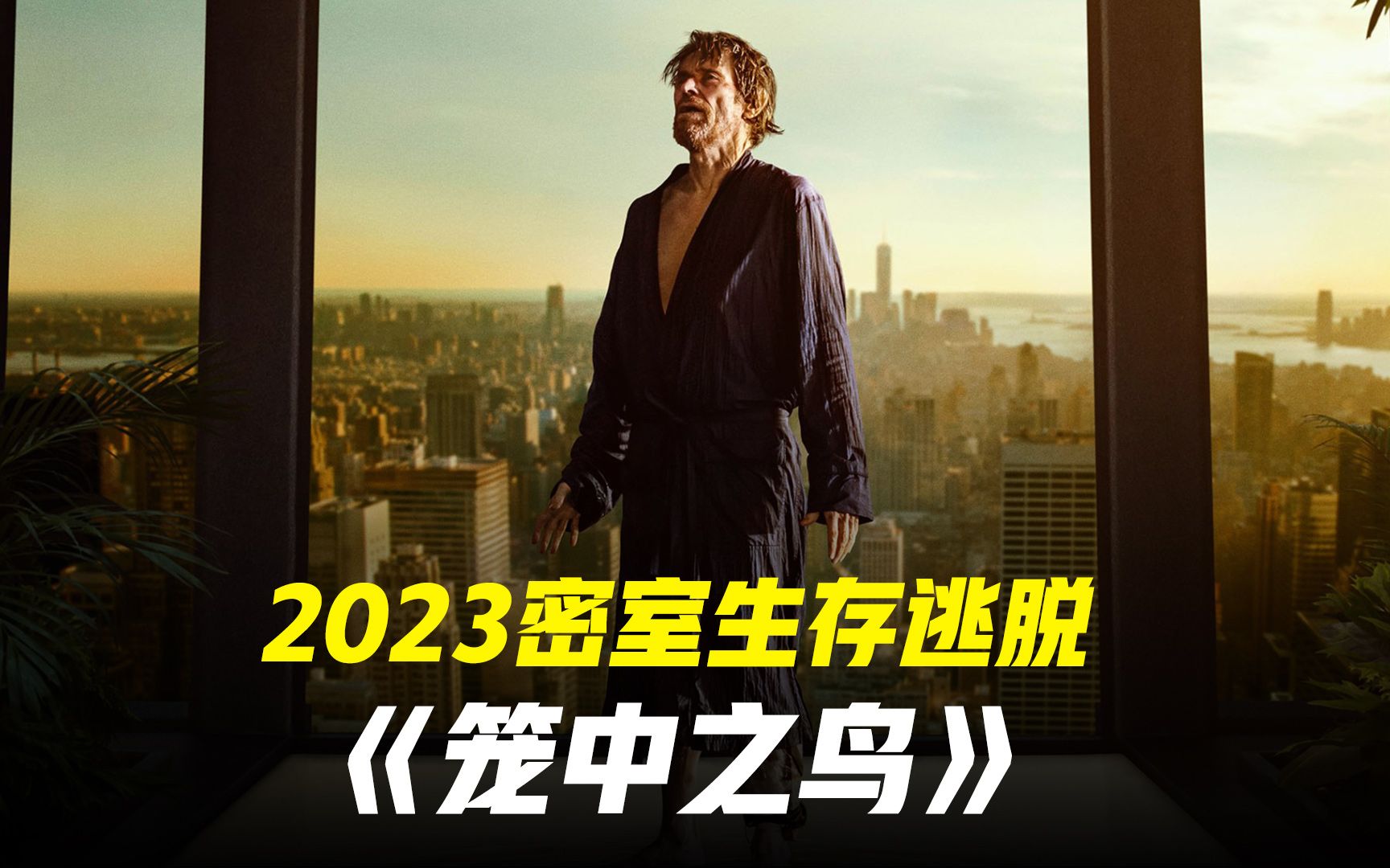 2023新概念生存密室逃脱《笼中之鸟》
