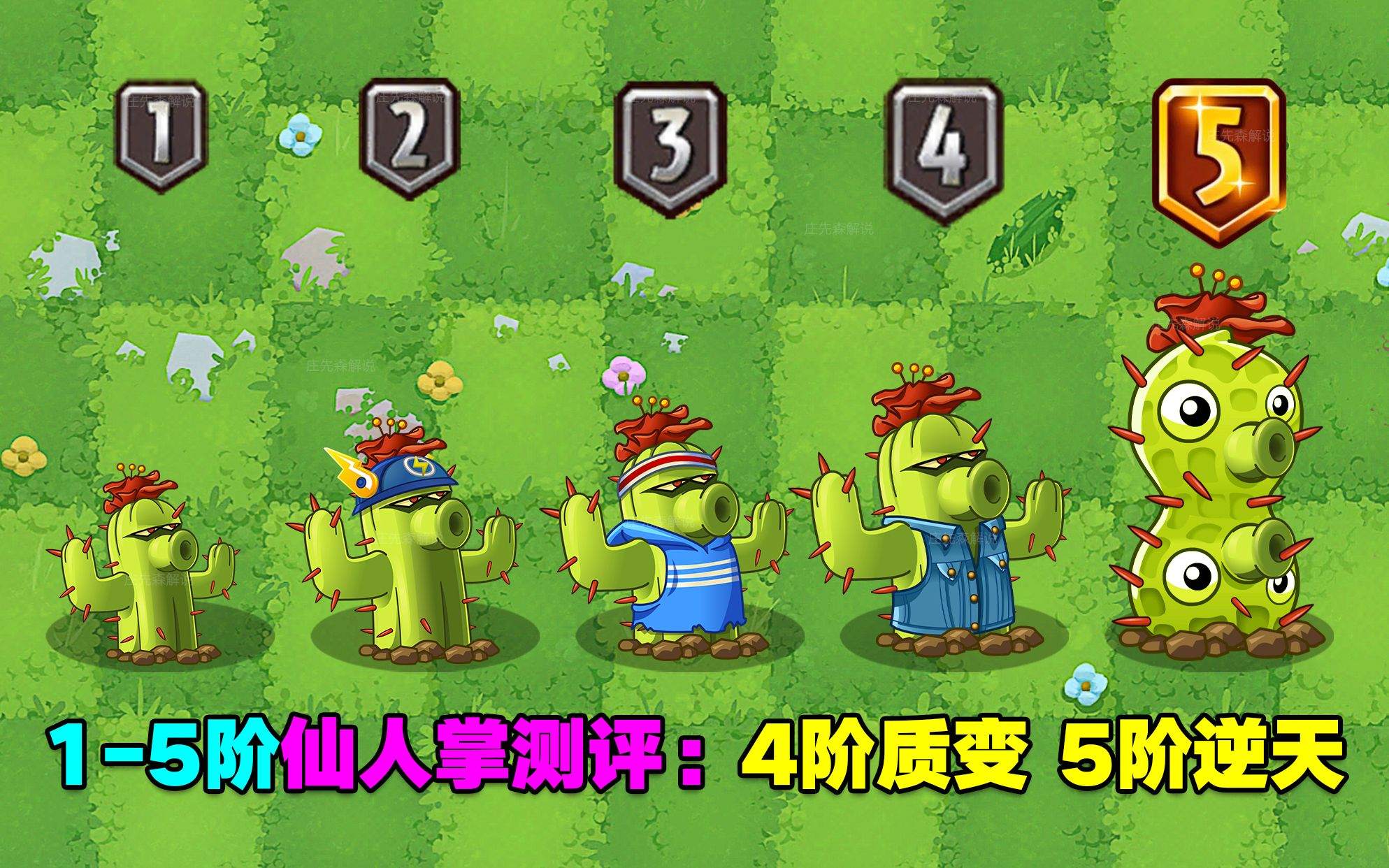 15阶仙人掌测评:1阶普通,4阶质变,竞速之神!PVZ