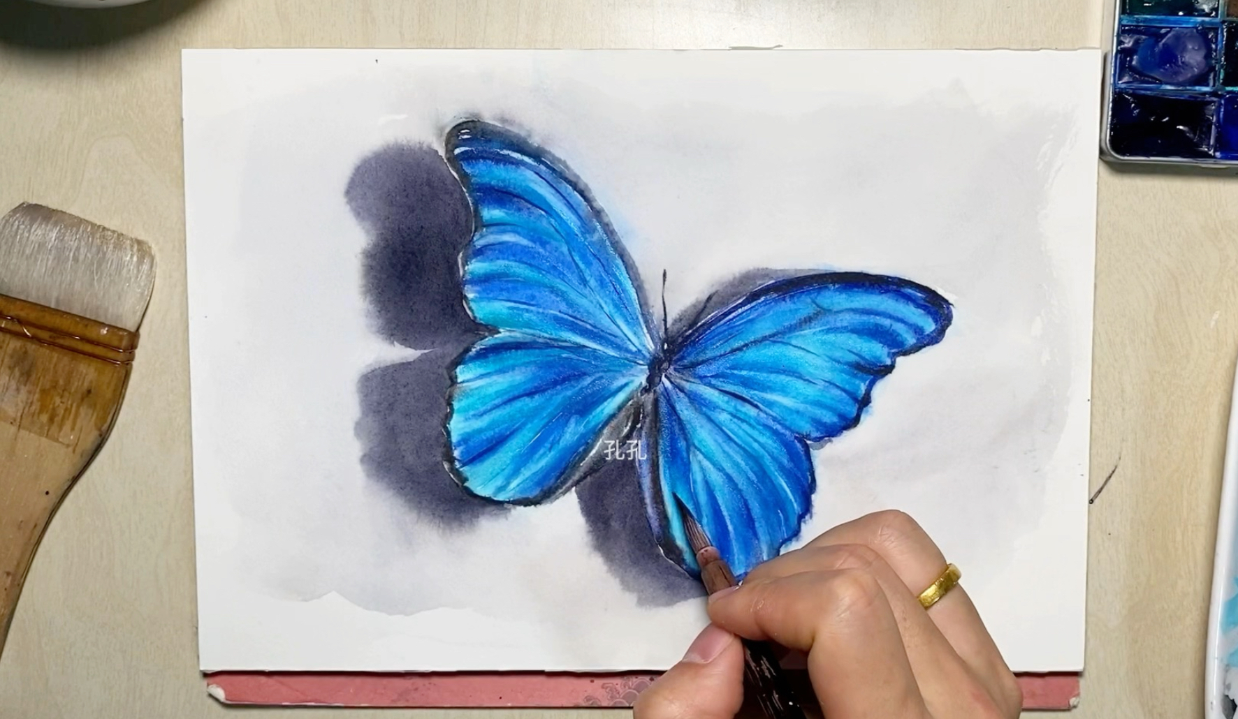 蓝蝶手绘,水彩蝴蝶