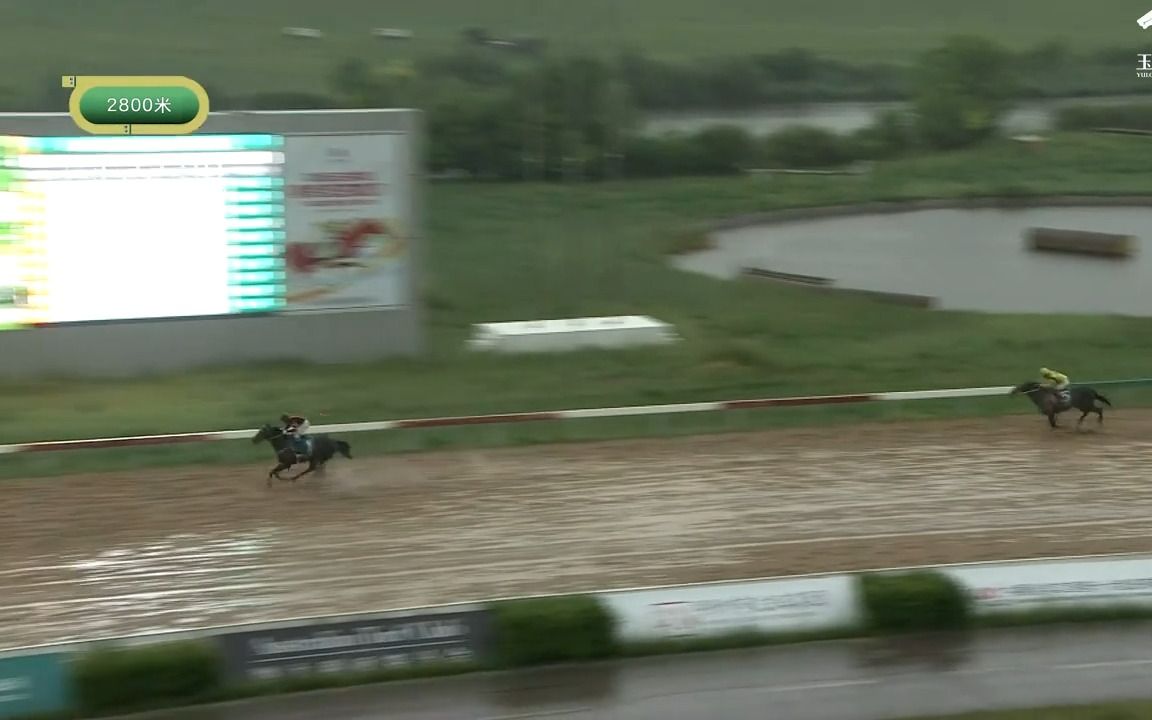 【中国赛马】在磅礴大雨中无敌的华宇时尚四连冠10马身大胜众里新月 2022年中国马主联盟杯预赛哔哩哔哩bilibili