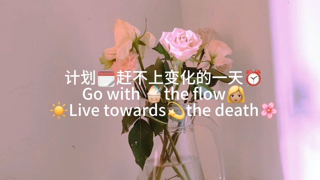 计划赶不上变化的一天