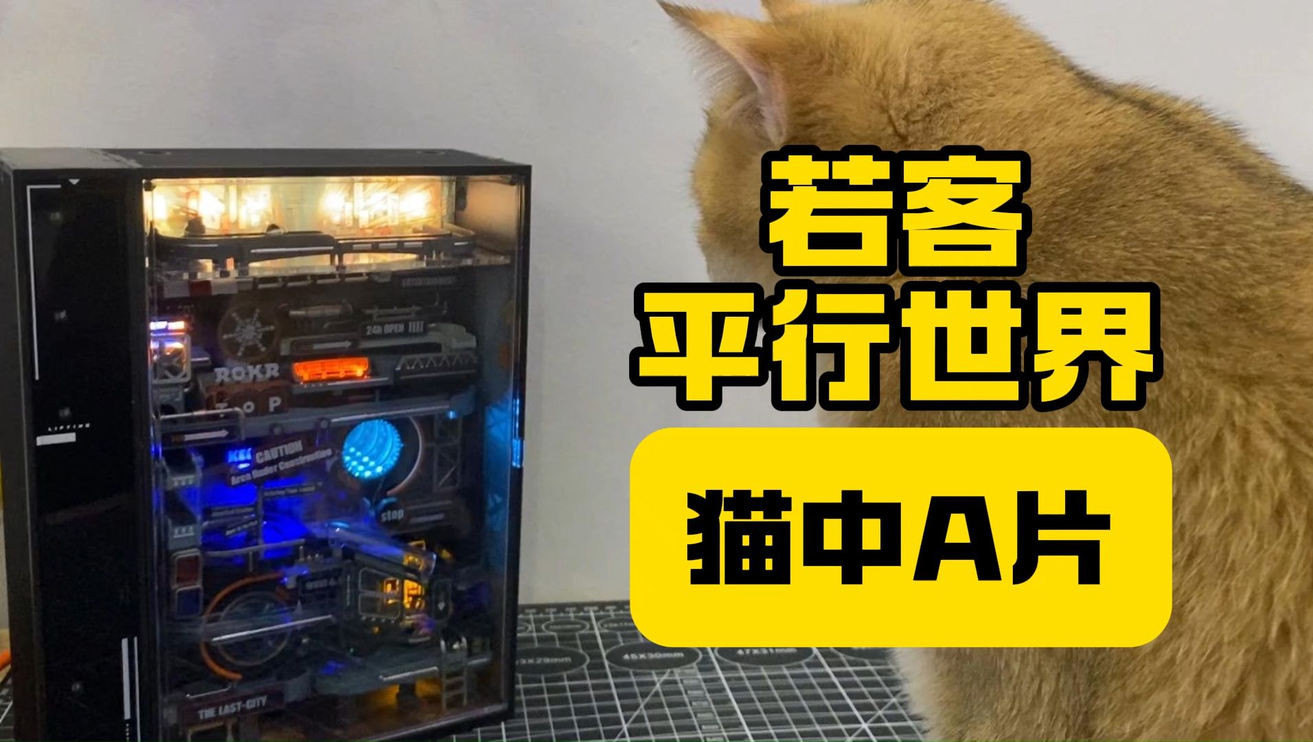 猫中A片!平行世界!哔哩哔哩bilibili