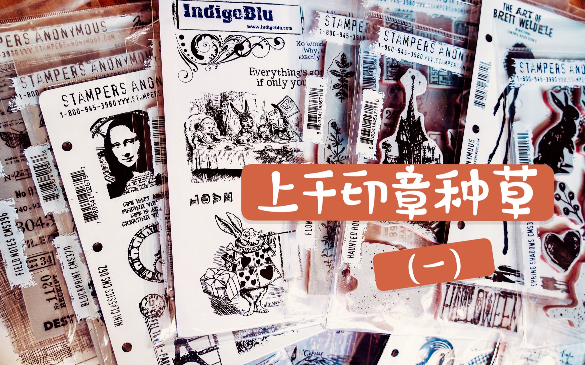 上千个印章种草和收纳(一)国外高质量印章品牌推荐 Tim Holtz + IndigoBlu 复古印章哔哩哔哩bilibili