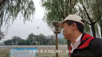 Download Video: 探索湖南沅江市，为啥被称为“东方威尼斯”小城？